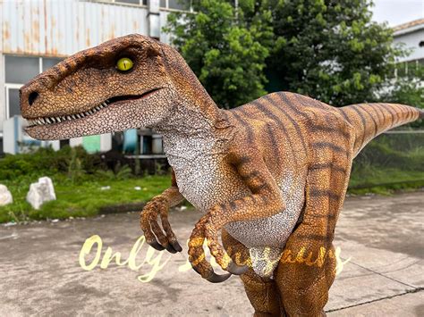 diy raptor costume|realistic velociraptor costumes.